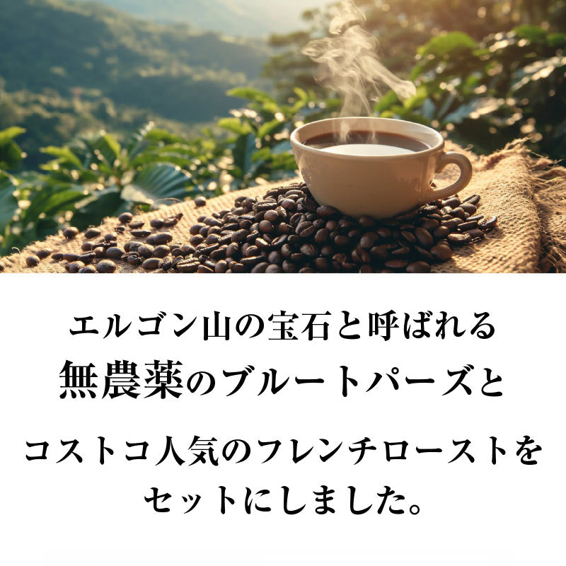 【おかわりしたくなるコーヒー】コーヒー豆2種セット 2.13kg|ブルートパーズ コストコ フレンチロースト|無農薬 高級アラビカ種|火山ミネラル|アロマ|エルゴン山の宝石