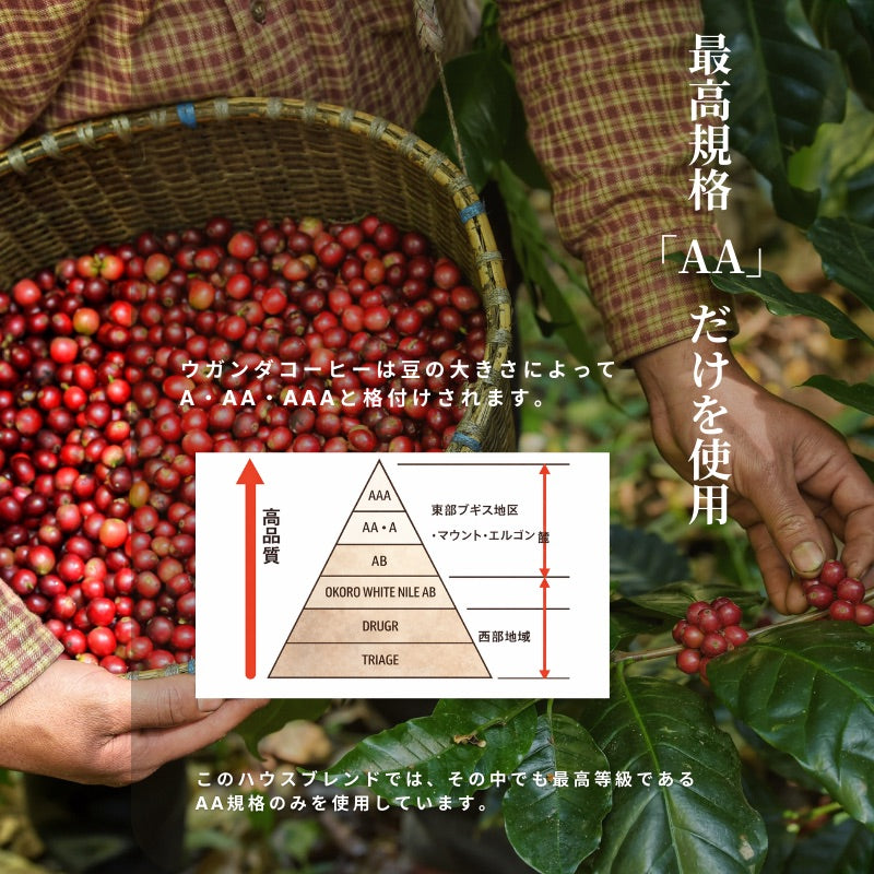 【香りで目覚める朝】ブルートパーズ ハウスブレンド コーヒー粉 500g|無農薬 自然栽培|高級アラビカ種 ティピカAA