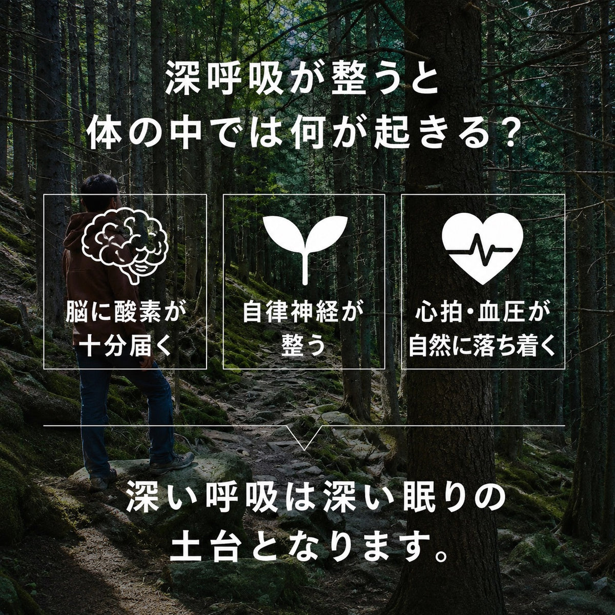 【SUUSTON】スーストン|深い呼吸で深く眠れる枕|睡眠中の空気の通り道を確保|14日間返金保証付