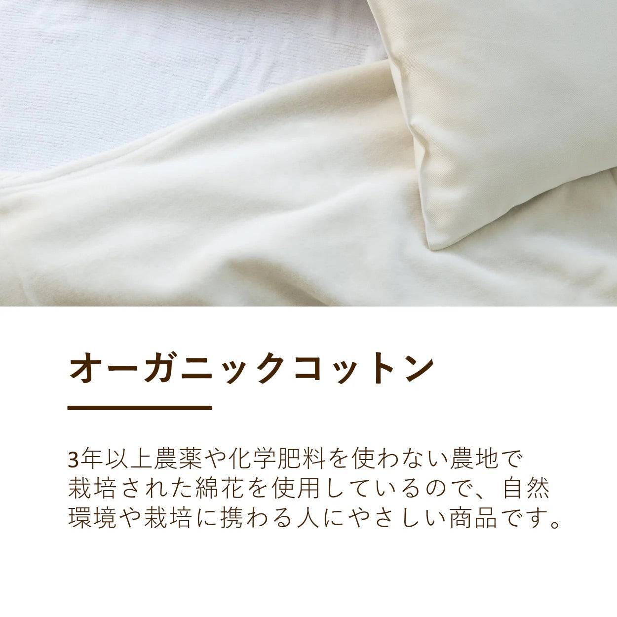【ロマンス小杉】綿毛布 シングル｜オールシーズン対応のコットンケット