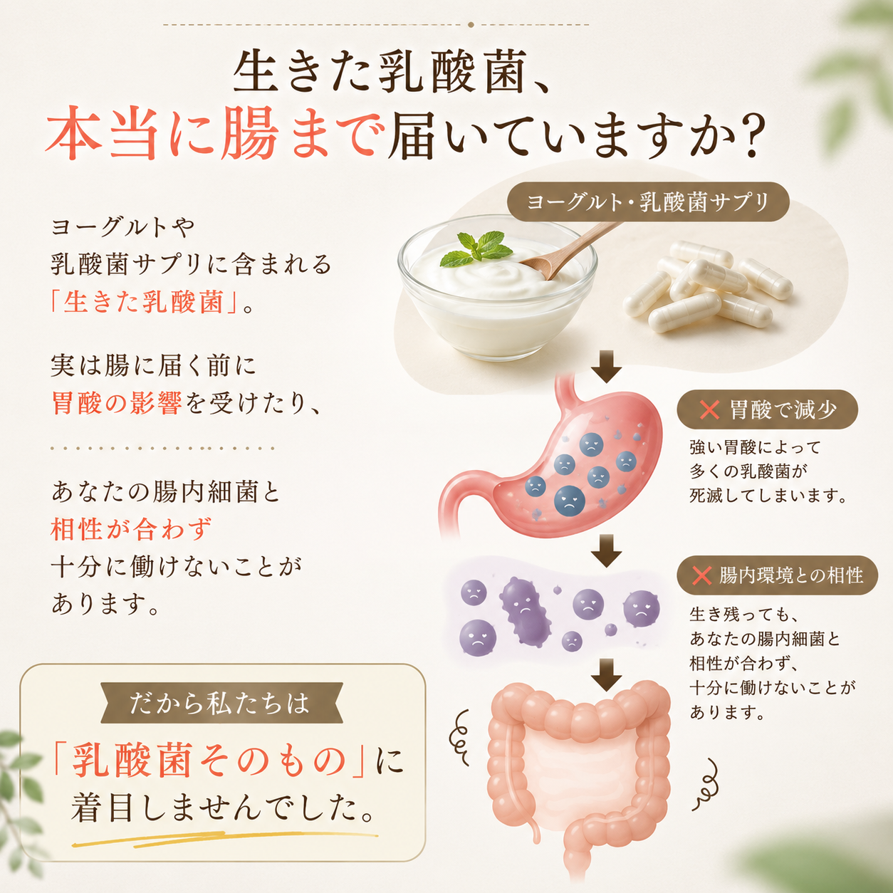 【EsmeraldA】乳酸菌生成エキス のぞみ｜腸内環境を改善し健康をサポート 30ml × 2本（およそ30日分）