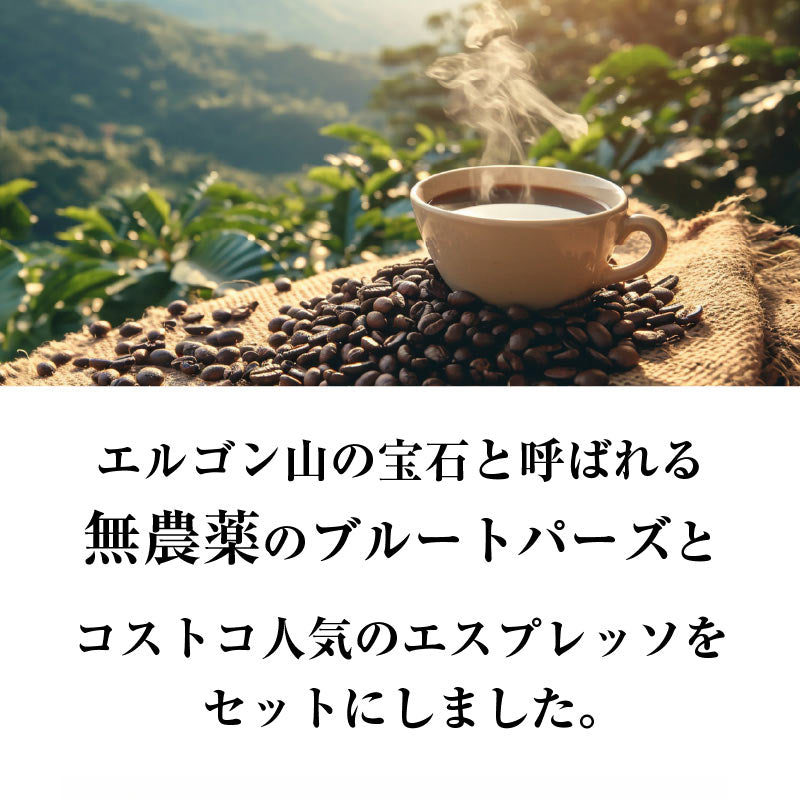 【おかわりしたくなるコーヒー】コーヒー豆2種セット 2.13kg｜ブルートパーズ コストコ エスプレッソブレンド ｜無農薬 高級アラビカ種｜火山ミネラル｜アロマ ｜エルゴン山の宝石