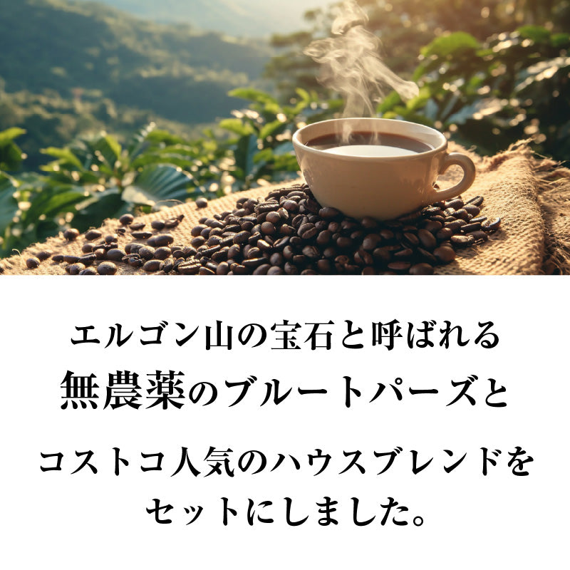 【おかわりしたくなるコーヒー】コーヒー豆2種セット 2.13kg｜ブルートパーズ コストコ ハウスブレンド ｜無農薬 高級アラビカ種｜火山ミネラル｜アロマ ｜エルゴン山の宝石