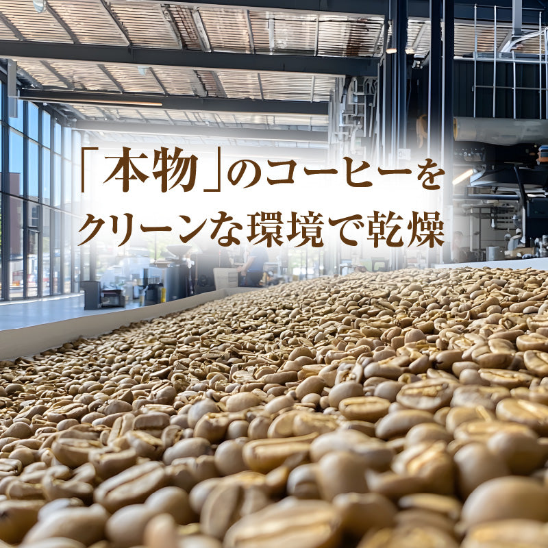 【おかわりしたくなるコーヒー】コーヒー豆2種セット 2.13kg｜ブルートパーズ コストコ エスプレッソブレンド ｜無農薬 高級アラビカ種｜火山ミネラル｜アロマ ｜エルゴン山の宝石