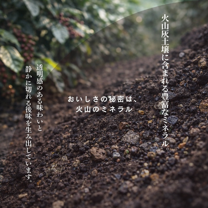 【おかわりしたくなるコーヒー】ブルートパーズ ハウスブレンド コーヒー豆 1kg｜無農薬 自然栽培 高級アラビカ種 ティピカAA