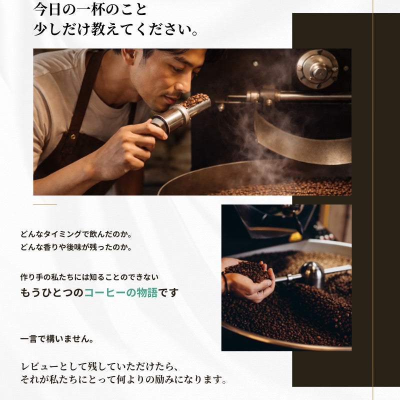 【おかわりしたくなるコーヒー】ブルートパーズ ハウスブレンド コーヒー豆 1kg｜無農薬 自然栽培 高級アラビカ種 ティピカAA