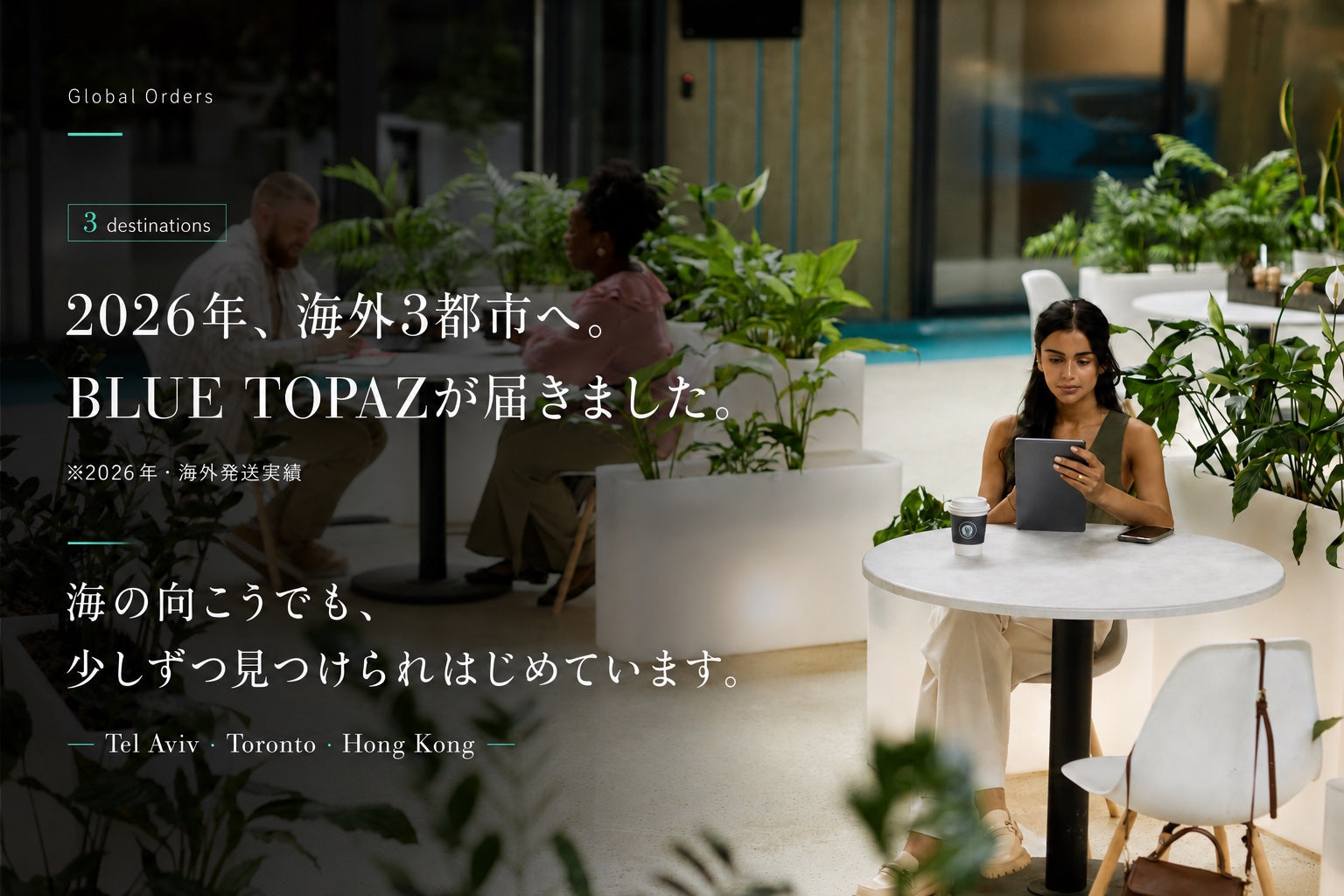 【BLUE TOPAZ COFFEE IN THE ZONE】 BLUE TOPAZ COFFEE IN THE ZONE ブルートパーズ インザゾーン コーヒー豆 500g｜無農薬 自然栽培｜高級アラビカ種 ティピカAA