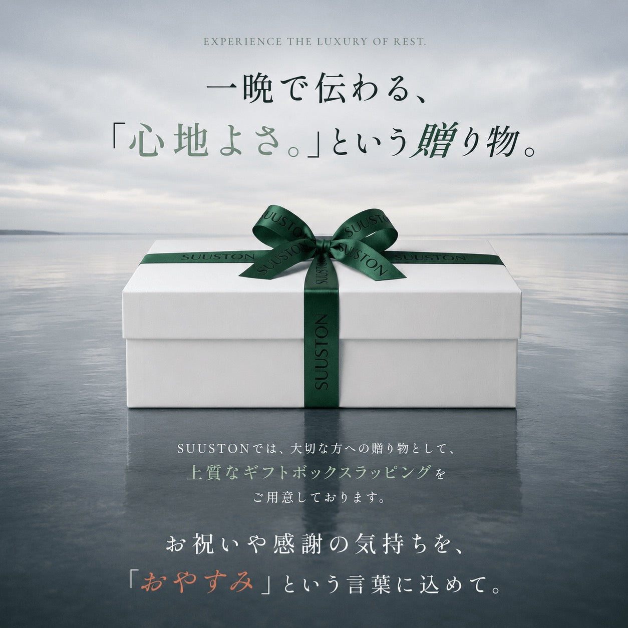 【SUUSTON】スーストン｜深い呼吸で深く眠れる枕｜睡眠中の空気の通り道を確保｜14日間返金保証付
