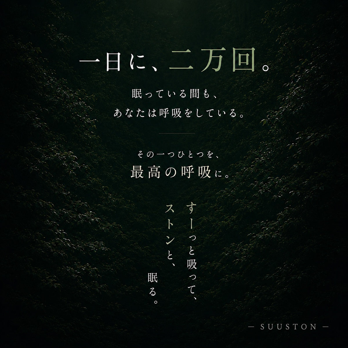 【SUUSTON】スーストン｜深い呼吸で深く眠れる枕｜睡眠中の空気の通り道を確保｜14日間返金保証付